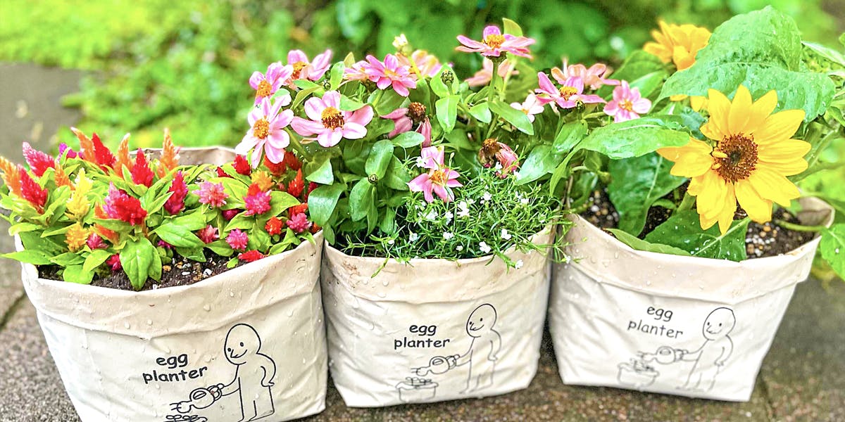 トップページ｜tamakara